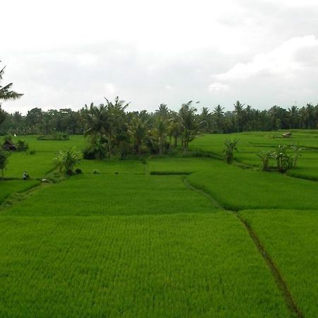 Green Field Hotel And Bungalow Ubud Zewnętrze zdjęcie