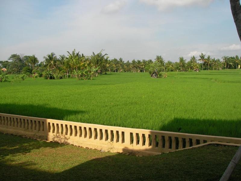 Green Field Hotel And Bungalow Ubud Zewnętrze zdjęcie