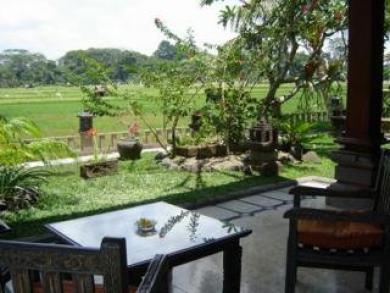 Green Field Hotel And Bungalow Ubud Zewnętrze zdjęcie